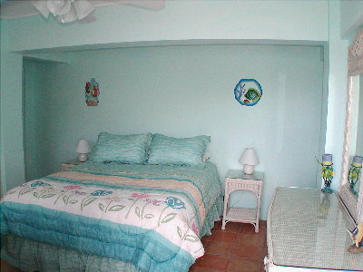 Lower Bedroom